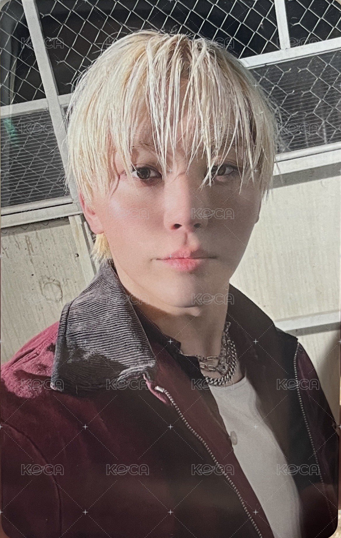 正五 wvs 入場卡 / 場限卡 WVS埼玉場限 正面