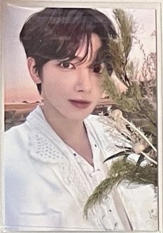 姜太顯粽卡