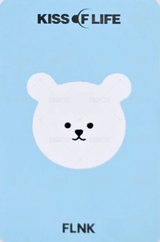 Lose Yourself FLNK 預售 特典卡  背面
