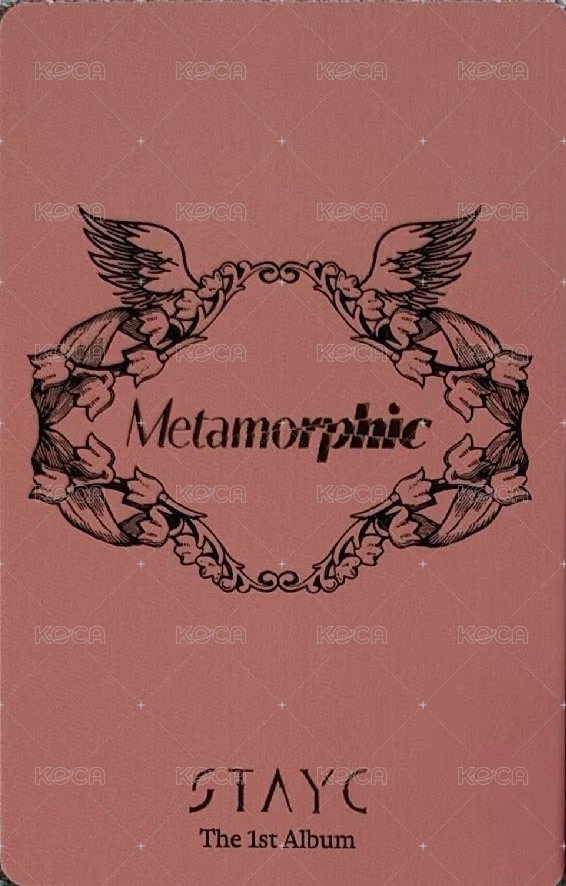 正規一 專輯卡 雙人卡 珉森 背面