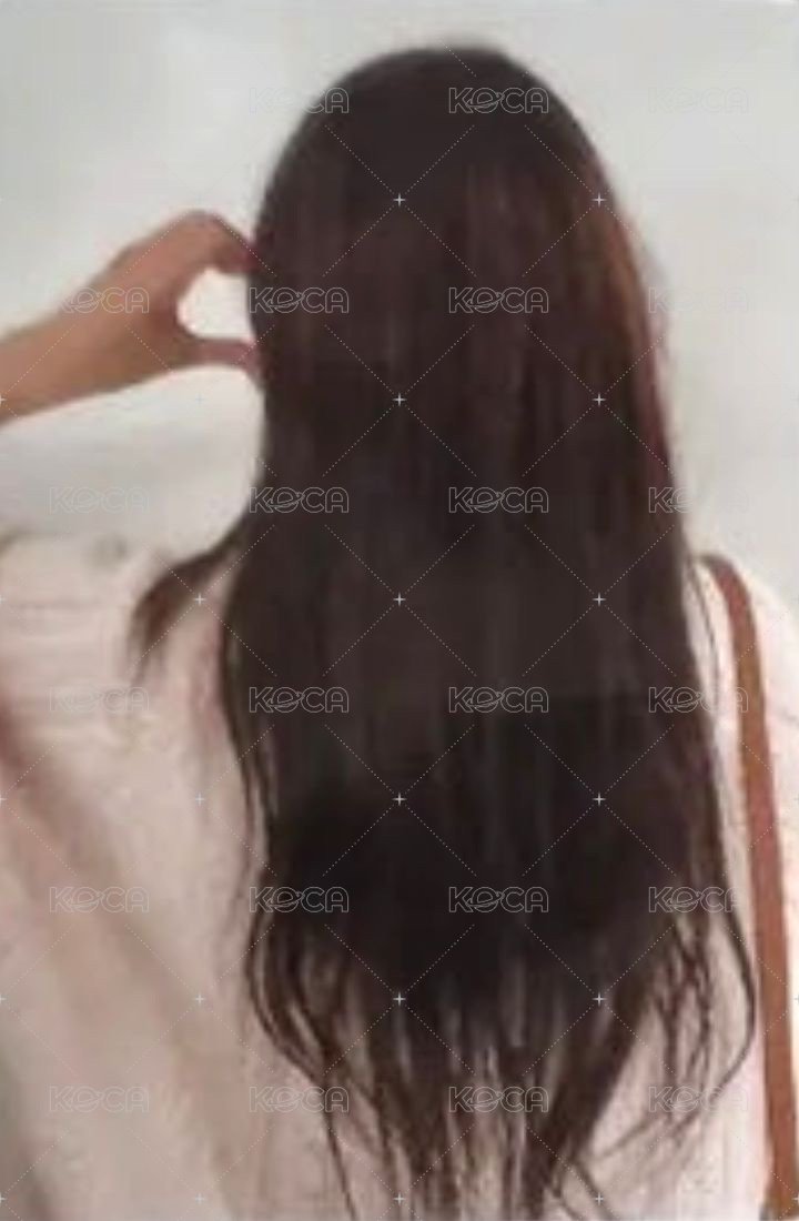 CHESHIRE wm 7.0 特典卡  背面