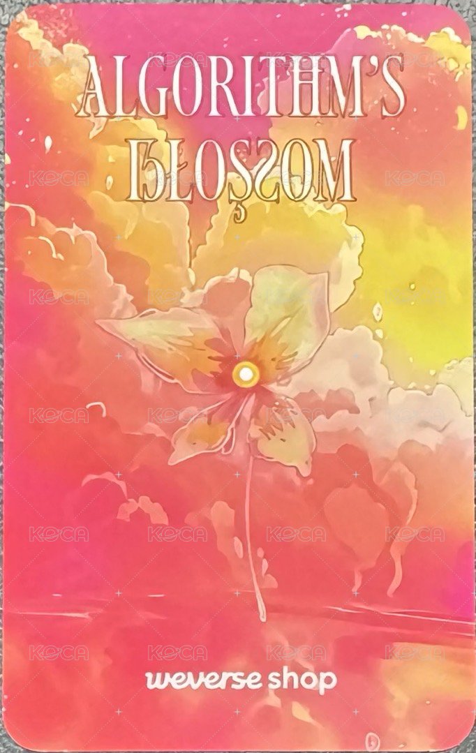 迷二 wvs 預售 特典卡  背面