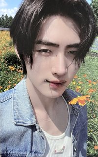 迷五 專輯卡 電子專A版