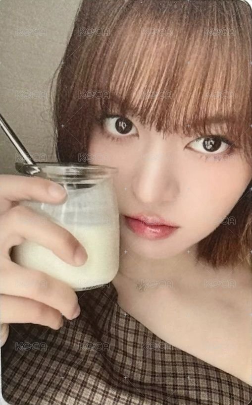 FORWARD 泡泡摩奇 澳門中簽 抽選卡 牛奶布丁 正面