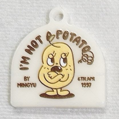自製展POTATO-1