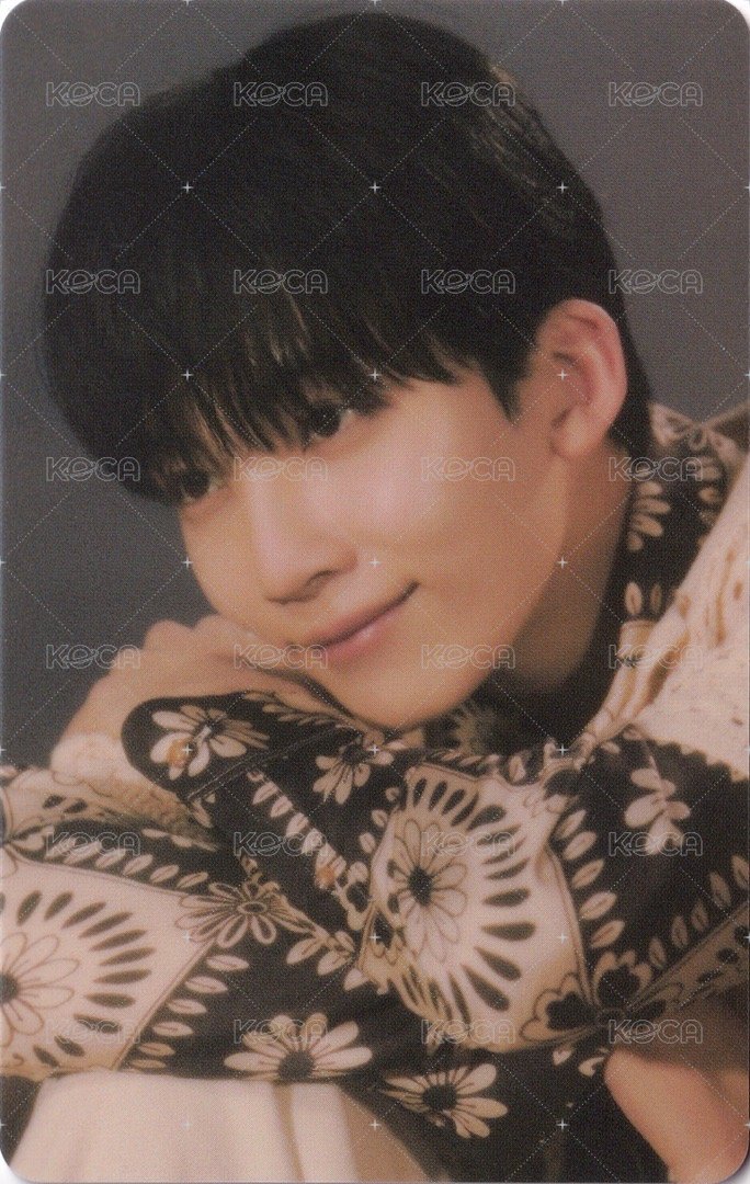 正四 專輯卡 正規四｜WVS電子專ver. 正面