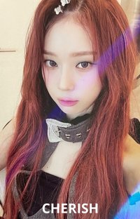 Drama kms 特典卡 紫冬