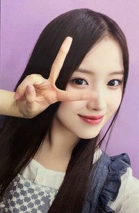仲夏夜 ms 線下 3.0 簽售卡 