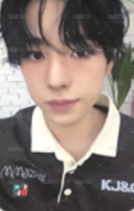 Steady ms 簽售卡  正面