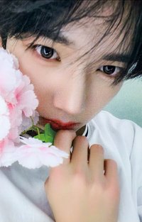 迷三 k4 特典卡 花 ver.