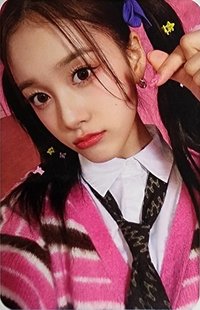 泰迪熊 el 簽售卡 勾