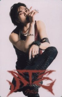 ATE 專輯卡 白版電子專固卡