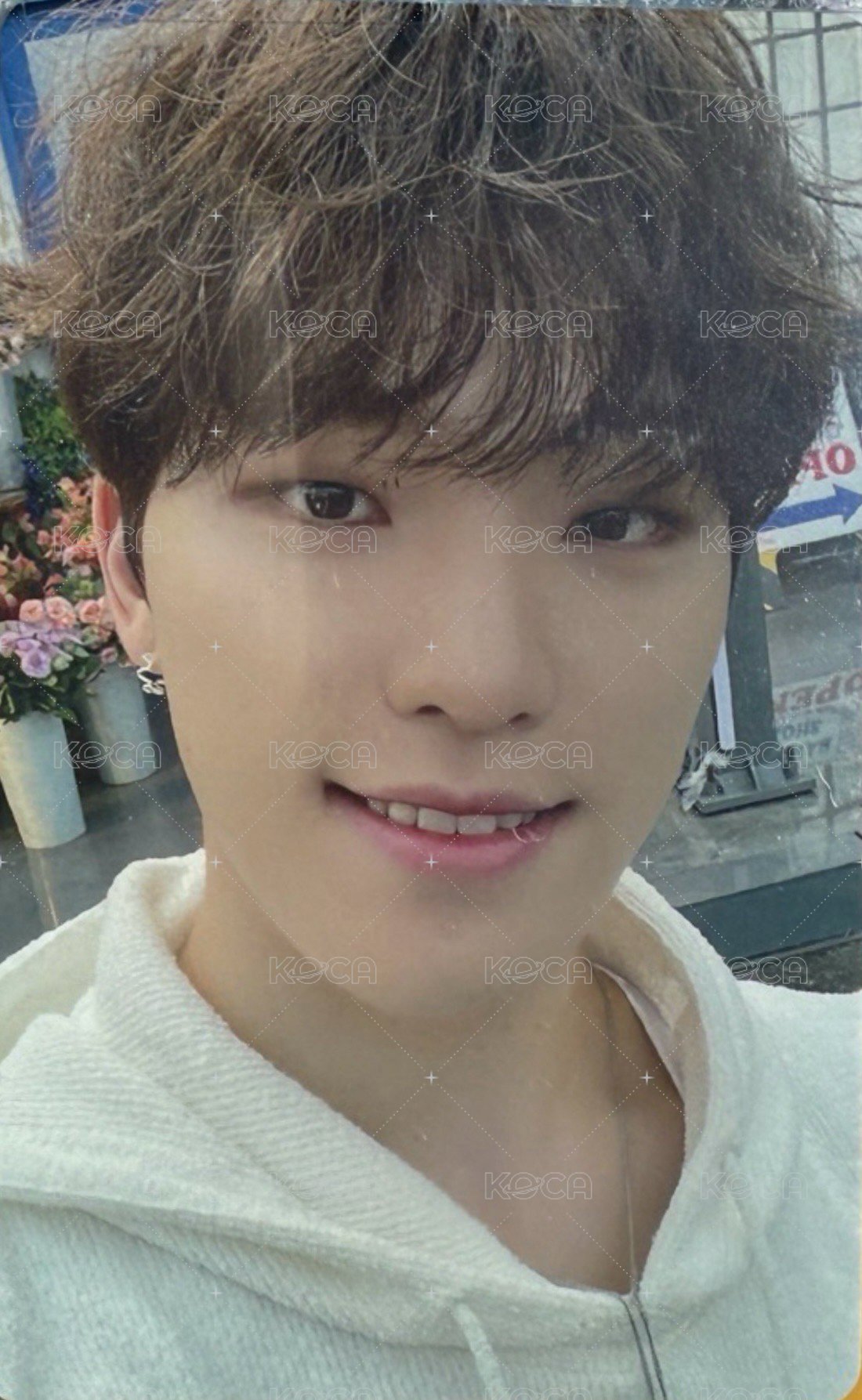 正四後續 日咖 wvs jp 特典卡  正面