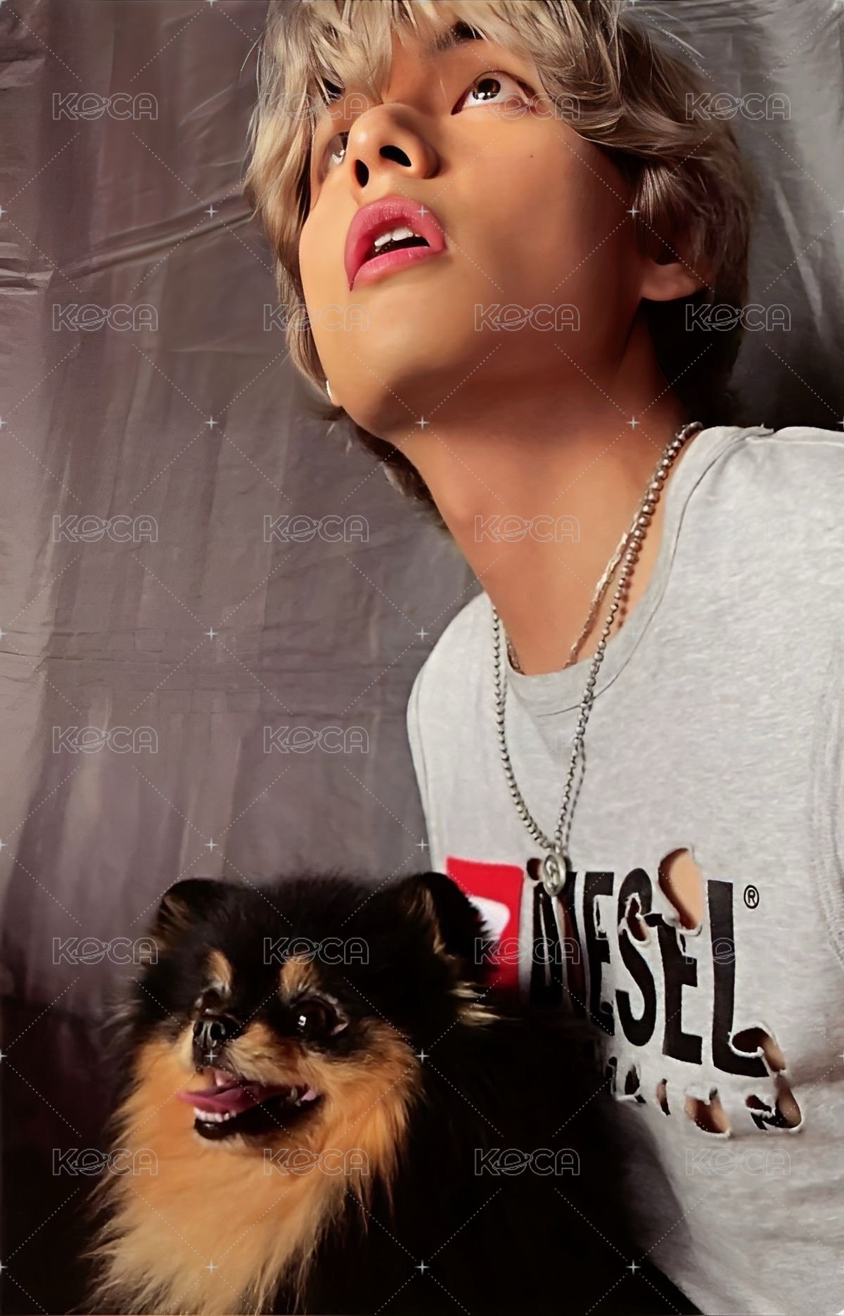 LAYOVER 專輯卡 綠版 正面