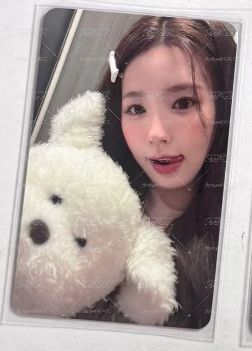 HL狗狗麵
