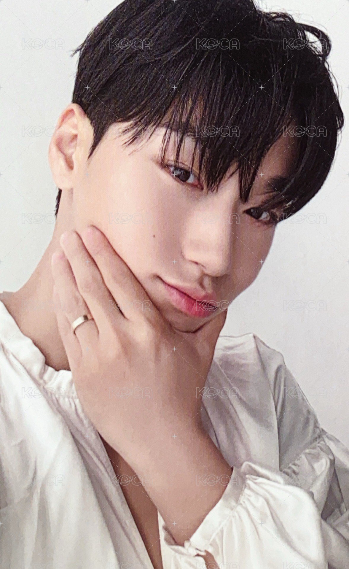 IN YOUR FANTASY 周邊卡 MITO卡套 正面