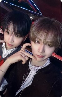 BOYLIFE 專輯卡 雙人卡 34
