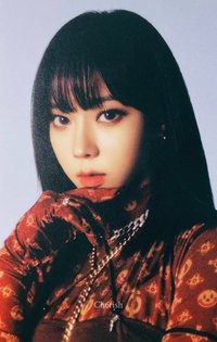 Stamp On It 周邊卡 卡貼冬