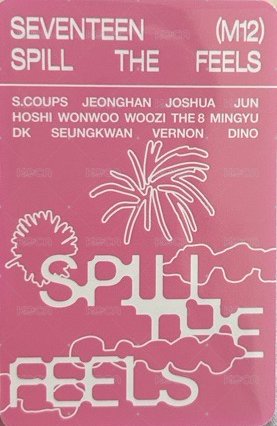 MINI12 專輯卡 ｜CARAT ver. 背面