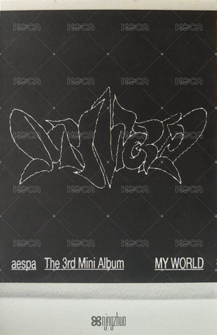 MY WORLD 專輯卡 zine版 wtmw拍立得柚 背面