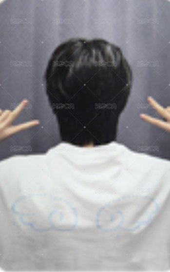 夏日攝影展 周邊卡 T-shirt 卡 背面