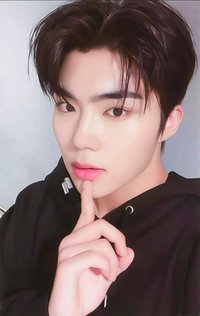 迷二 wm 特典卡 熱狗 ver.