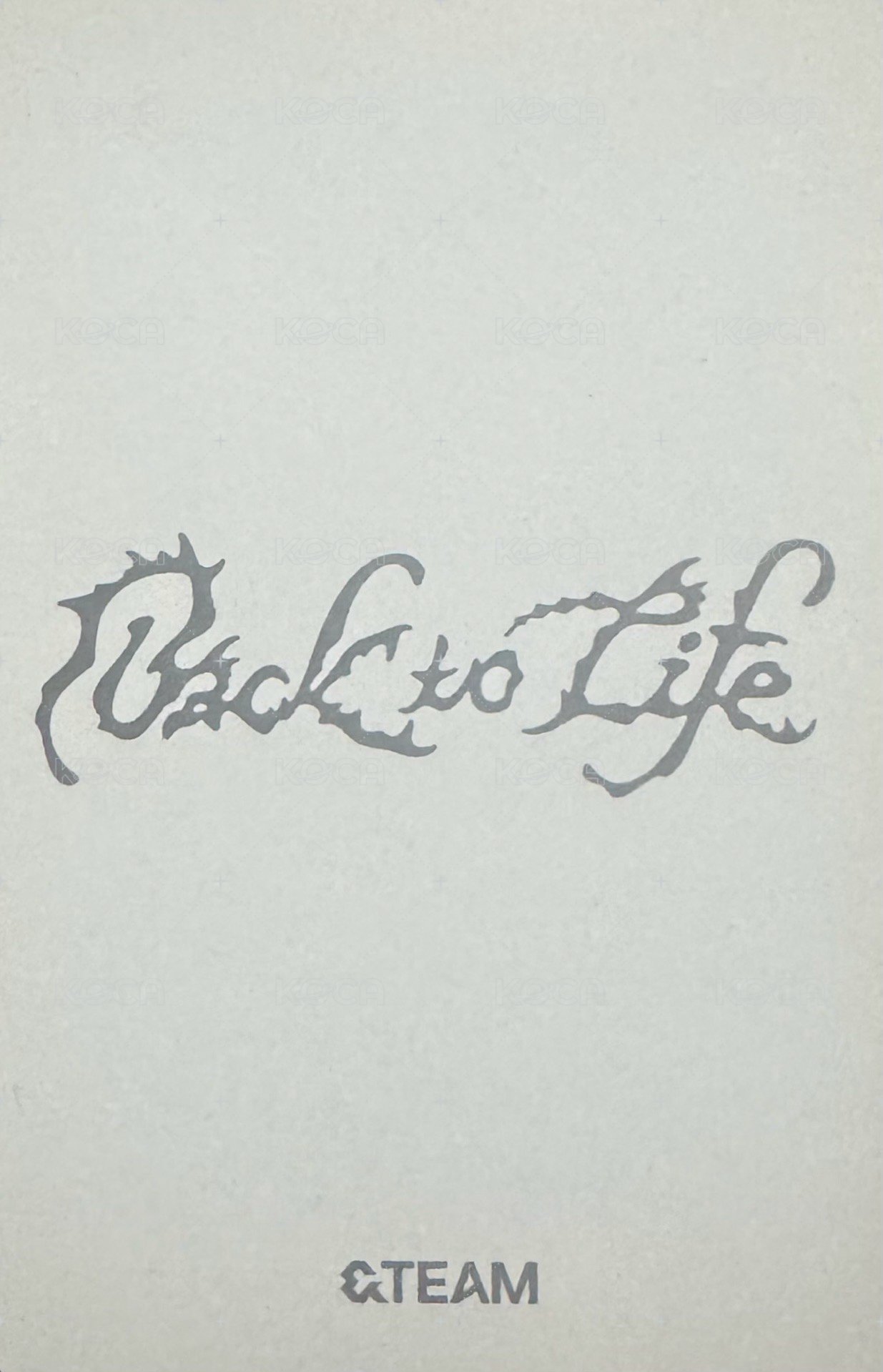 BTL 專輯卡 WVS Albums ver 背面