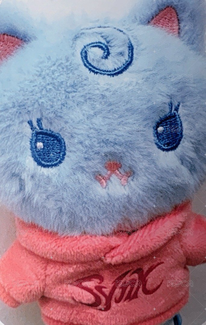 二巡 周邊卡 首爾安可場周 娃衣柚 正面