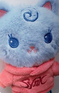 二巡 周邊卡 首爾安可場周 娃衣柚