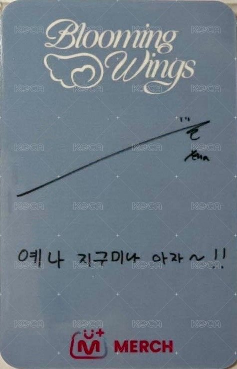 迷四 mnet 特典卡 簽專 背面