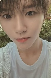 Songbird QQ音樂 簽售卡 