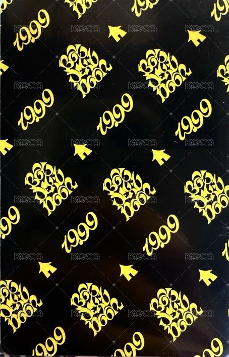 19.99 專輯卡 Twenty專卡6 ver.B 背面