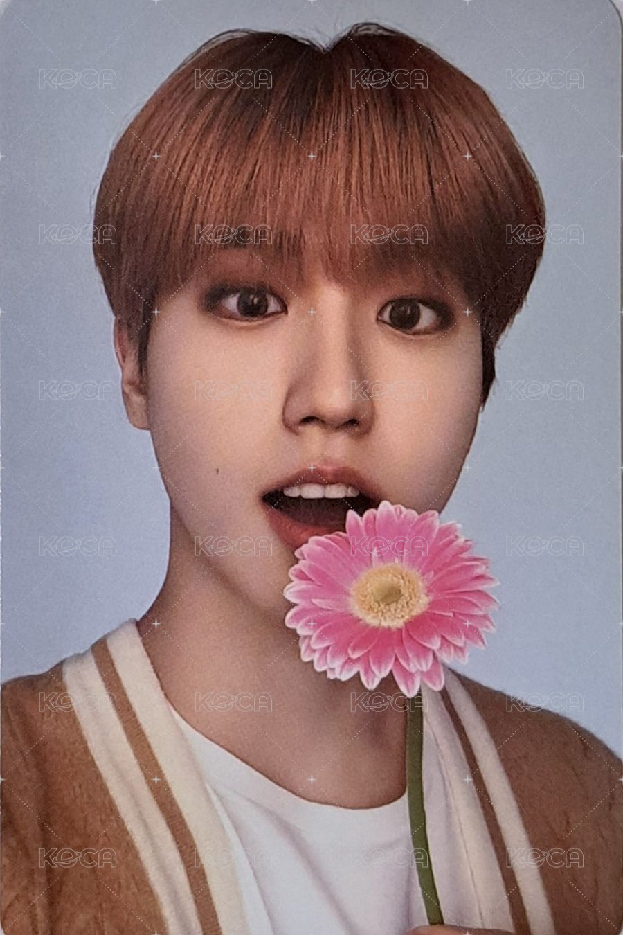 NACIFIC 10.0 代言卡  背面