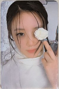 2025 七週年展覽 cube 周邊卡 展覽刷