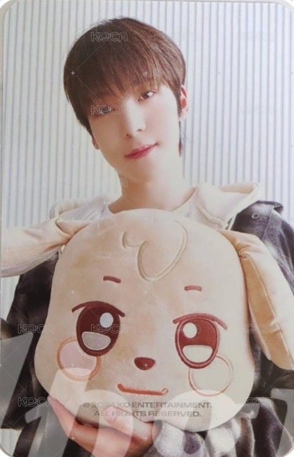 ANITEEZ IN ICE CITY 周邊卡 plush cushion 背面