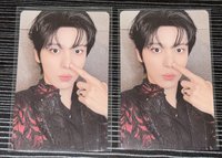 大狗狗摸摸鼻子