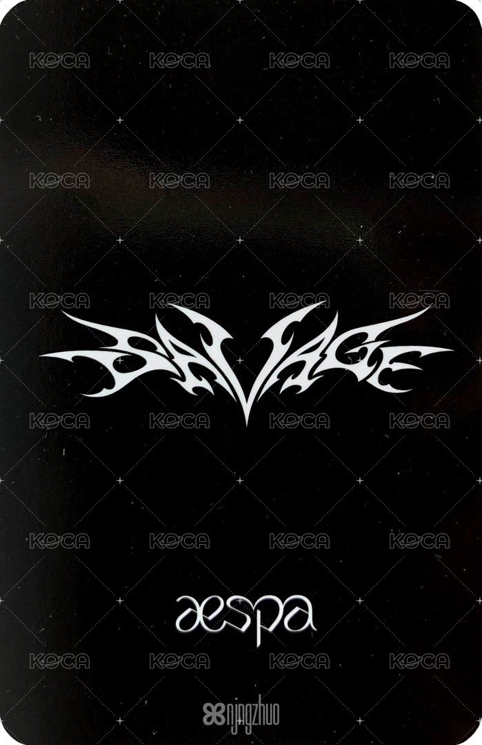 Savage 專輯卡 美網盒子冬 背面