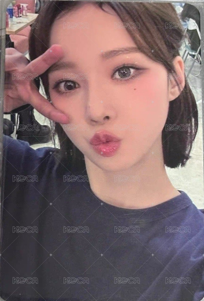 MY WORLD k4 特典卡 預售冬 小樹杈冬 正面