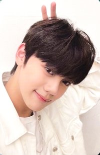 迷一 k4 幸運卡 兔耳 ver.