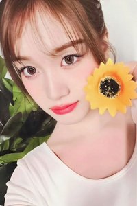 I WANT IT am 預售 特典卡 向日葵