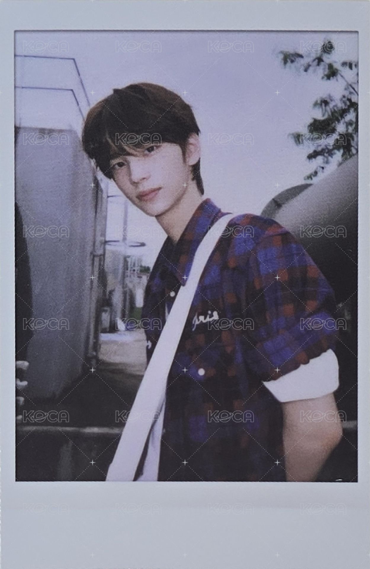 TWS:42 Selection Pack 周邊卡  正面