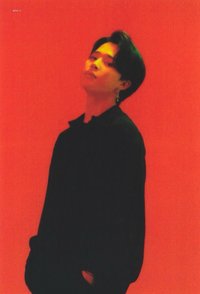 MOTS概念書 周邊卡 透卡 Clue版 固卡