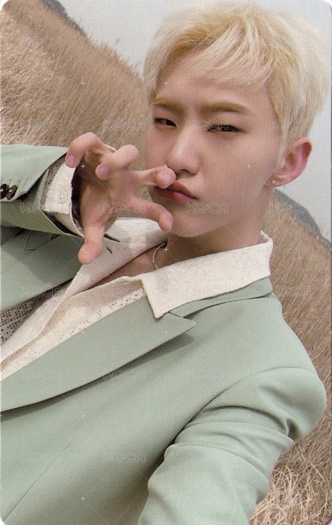 正四 專輯卡 正規四｜WVS電子專ver. 正面