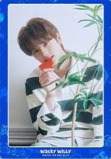 Wacky Willy 代言卡  正面