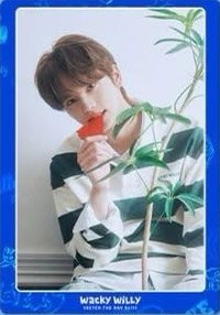 Wacky Willy 代言卡 