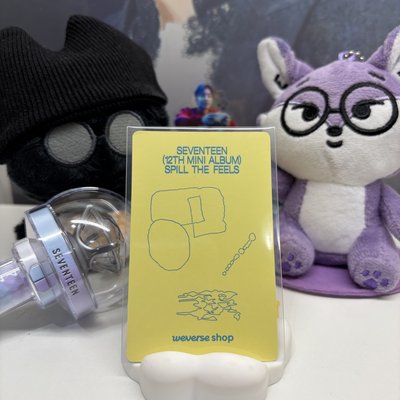 🍕碩珉DK｜MINI12｜wvs 特典卡｜PB ver.｜迷12