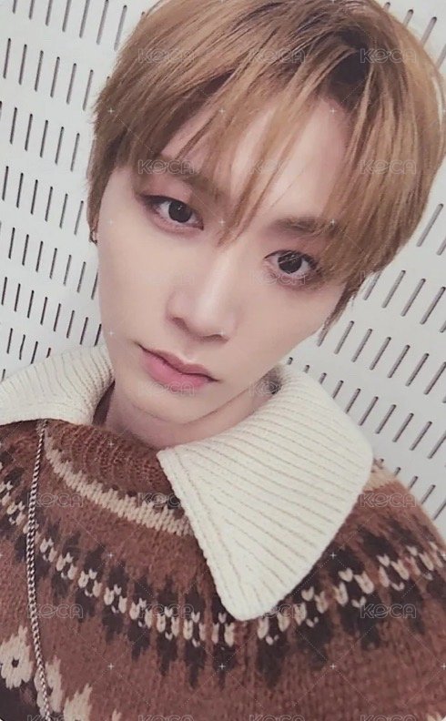 No Genre wvs 單封 特典卡 4 正面