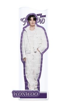 Follow Again 日巡 立牌 