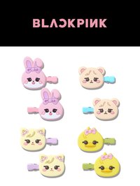 2巡 髮飾 	[BORN PINK JAPAN]小髮夾