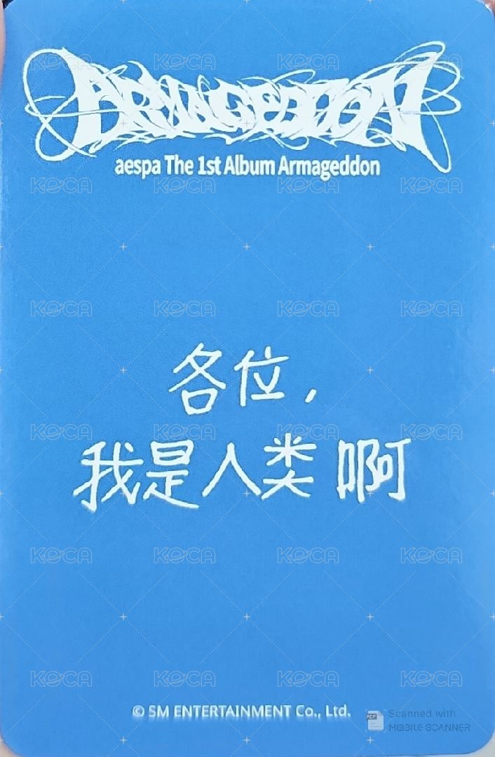 正規一 sr 簽售卡 星河簽售1.0冬 栗子冬 背面